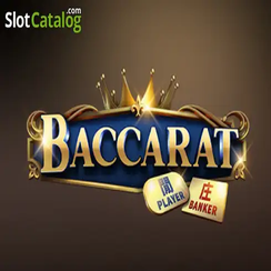 ব্যাকারেট C08 - KKBB